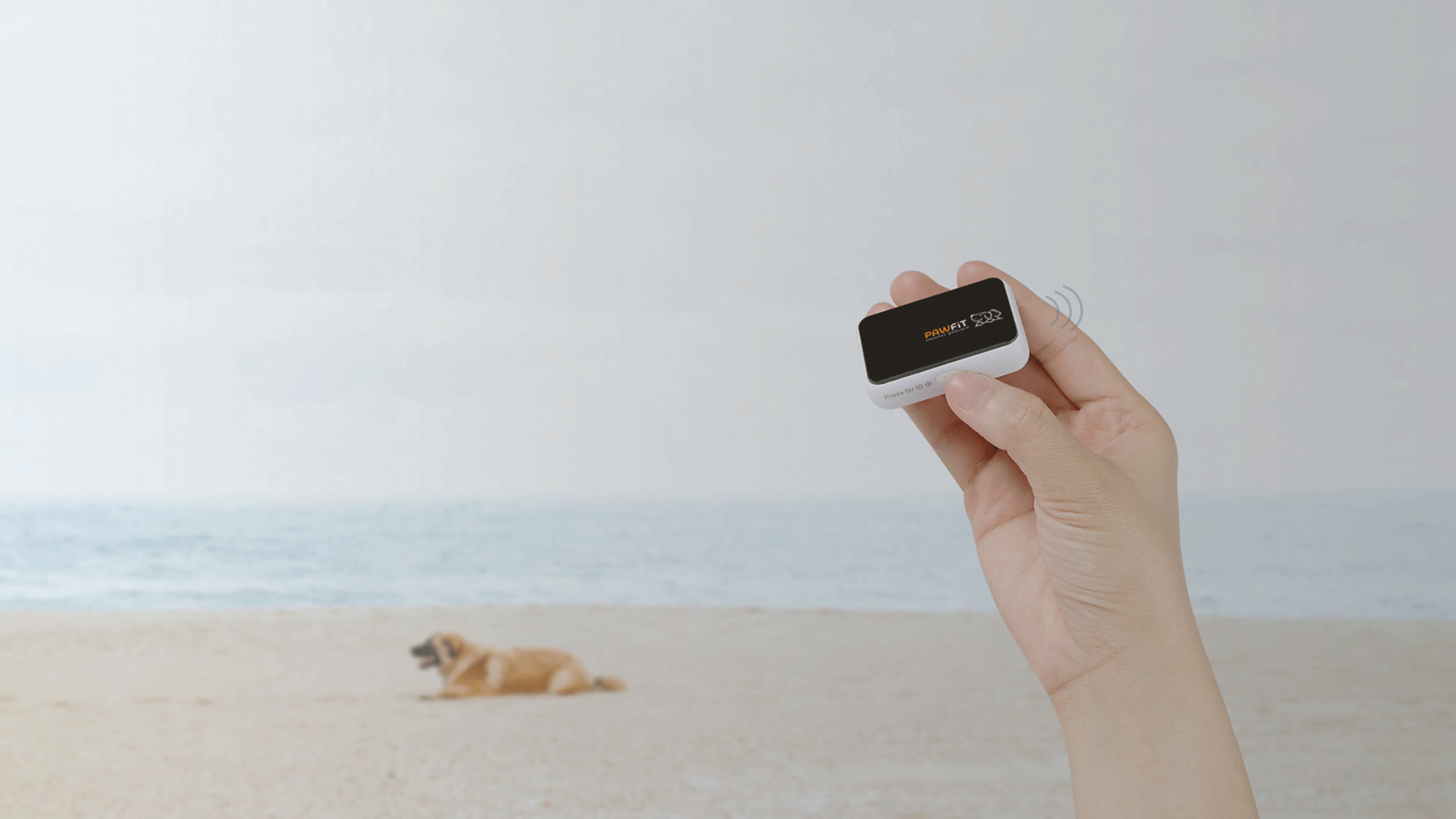 Pawfit tracker has made it easier than ever to protect your pet with temperature alert, removal alert and virtual fence