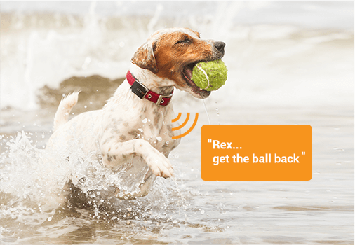 Our unique solution that lets you deliver audible commands to your pets using your own voice - even when they are out of sight