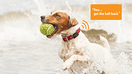 Our unique solution that lets you deliver audible commands to your pets using your own voice - even when they are out of sight